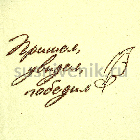 Комплект Шикарный мужчина (2 предмета) - 4