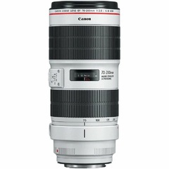 Canon EF 70-200mm f/2.8L IS III USM