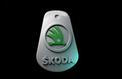 Силиконовый молд Логотип Skoda