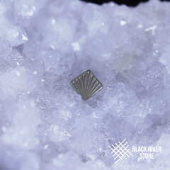 Shell Texture