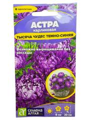 Астра Тысяча чудес темно-синяя карликовая (Семена Алтая)