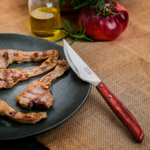 Набор столовых ножей для стейка 6 шт ARCOS Steak Knives арт.377100
