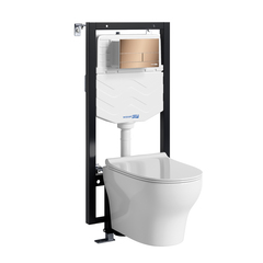 WasserKRAFT Vils 56TLT.010.ME.RG04.H001 Система инсталяции с унитазом фото