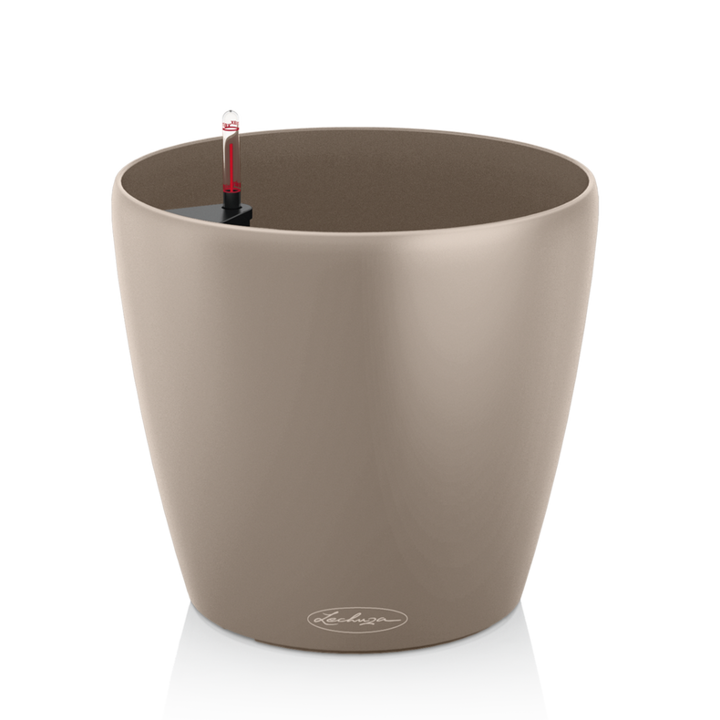 Lechuza Classico Color 18