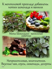 Полезные и красивые