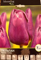 Луковичные Тюльпан триумф Копекс, 7 шт
