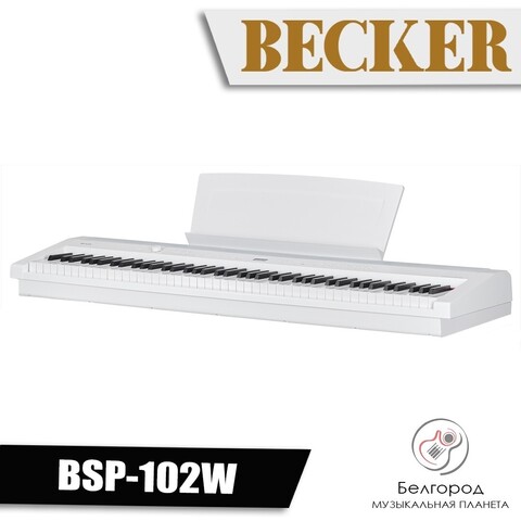 BECKER BSP-102W