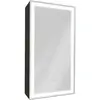 Art&Max AM-TEC-350-650-1D-R-DS-F-NERO Зеркало-шкаф с подсветкой