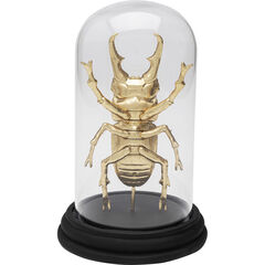 Объект декоративный Bell Jar Hercules Beetle «Жук-геркулес под колпаком» 20 см