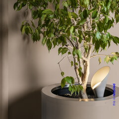 Ландшафтный светильник LEAF серый