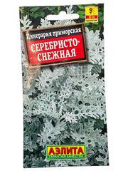 Цинерария Серебристо-снежная (Аэлита)