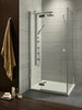 Radaway Almatea KDJ 32142-01-05NL Дверь для душевого уголка