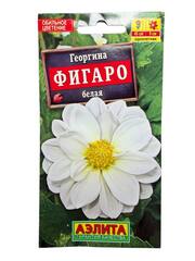 Георгина Фигаро белая (Аэлита)