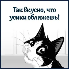 Felix Sensations пауч для взрослых кошек говядина,томат кусочки в желе 75 г