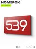 Номер на дверь 539, табличка на дверь для офиса, квартиры, кабинета, аудитории, склада, красная 120х70 мм, Айдентика Технолоджи