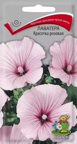 Семена Лаватера Красотка розовая