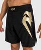 Шорты Venum Light 5.0 Black/Gold