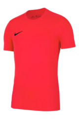 Футболка Nike Dry Park VII SS