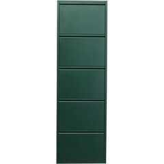 Обувница Caruso 5 Green (MO)