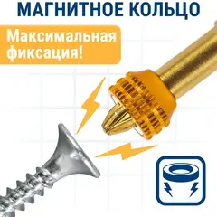 Бита отверточная ПРАКТИКА Эксперт PZ-2 х  50 мм с магнитным кольцом (915-670)
