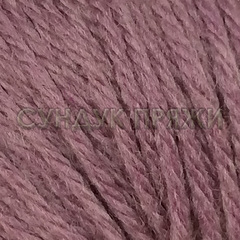 Gazzal Baby Wool XL 843 (виноградный щербет)