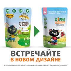 Мнямс Кот Федор пауч для котят нежные кусочки в желе с индейкой 85 гр