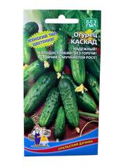 Огурец Каскад (Уральский дачник)