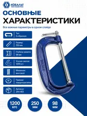 Струбцина G-образная КОБАЛЬТ 250 мм (244-483)