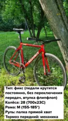 TSUNAMI фикс\синглспид