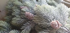 Еловая ветка припорошенная с шишками, евро, 47 см, 1 шт.