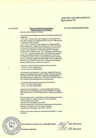 Бронежилет Страж 1М-1М Плитник ПРО