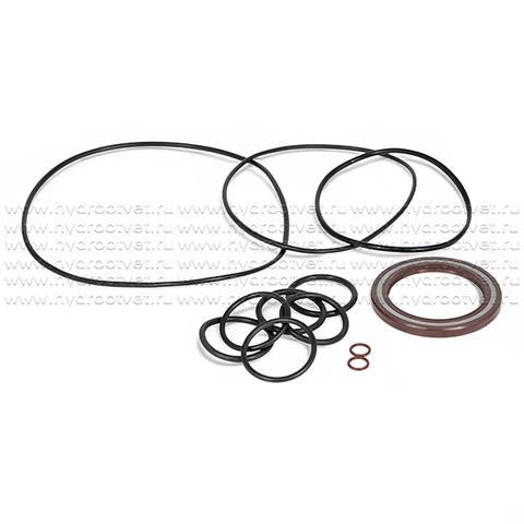 Фото A2FO160 SEAL KIT - Комплект уплотнений (с манжетой 60x80x7 мм) для гидронасоса/гидромотора Rexroth A2FO160, A2FM160, A2FE160
