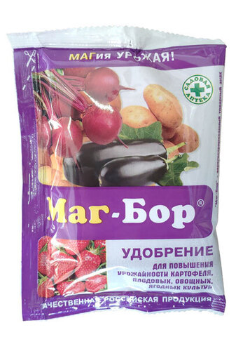 Маг Бор