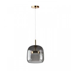 Подвесной светодиодный светильник Loft It Dauphin 10041A