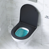 Am.Pm C901700SCmb Gem подвесной унитаз FlashClean с черным матовым сиденьем микролифт