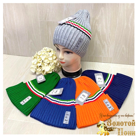 Шапка на хлопке м (4-9) 230108-SHV076