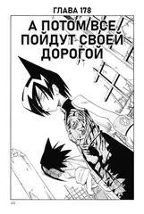 Король шаманов. Том 10