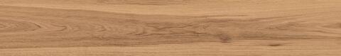 Atlas Concorde Russia Rive Acqua Riva Ret 20x120