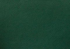 Искусственная кожа Домус зелёный / Domus green
