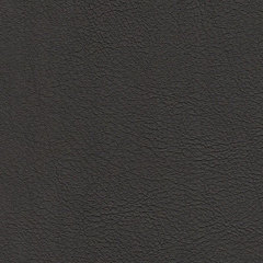 Искусственная кожа auto Bielastisch (Биэластик) 238-1273