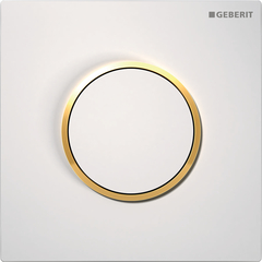 Geberit 116.015.KK.1 Клавиша смыва для писсуара фото