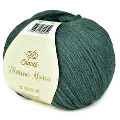 Chanté Merino Alpaca 5902