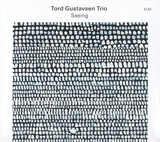 GUSTAVSEN, TORD : Seeing( Tord Gustavsen Trio ) (Компакт-диск)