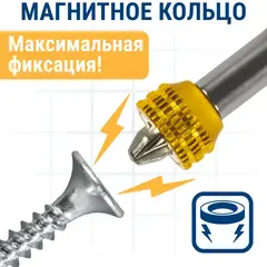 Бита отверточная ПРАКТИКА Профи PZ-2 х  50 мм с магнитным кольцом (2 шт)