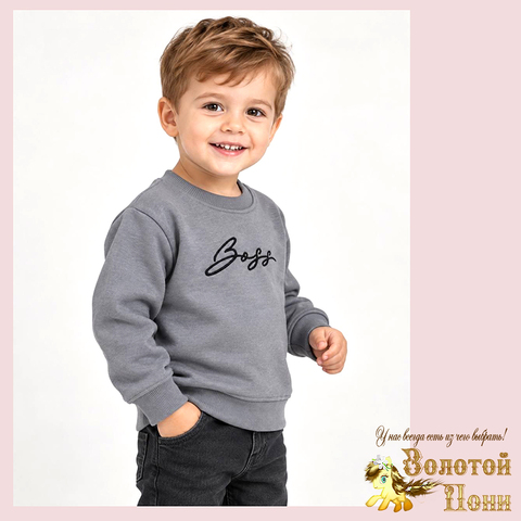 Свитшот хл/начес м (1-5) 260916-CZ-776