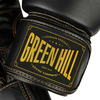 Перчатки Green Hill Thunder Черный