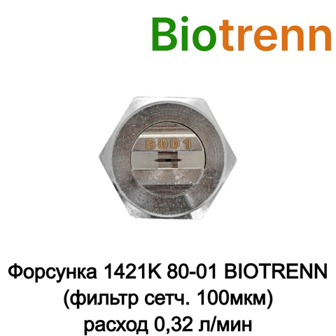 Форсунка 1421K 80-01 BIOTRENN (фильтр сетч. 100мкм) N90100ST