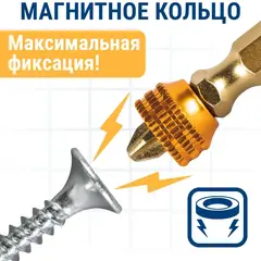 Бита отверточная ПРАКТИКА Эксперт PH-2/PZ-2 х 65 с магнитным кольцом (915-656)