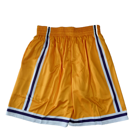 Баскетбольные шорты 'Lakers/Yellow/Purple' 