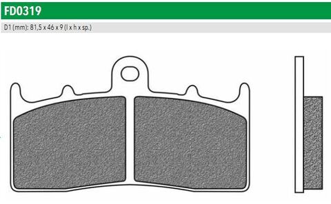 FD0319SP Тормозные колодки дисковые мото ROAD TTPRO SINTERED (FDB2124ST)   NEWFREN